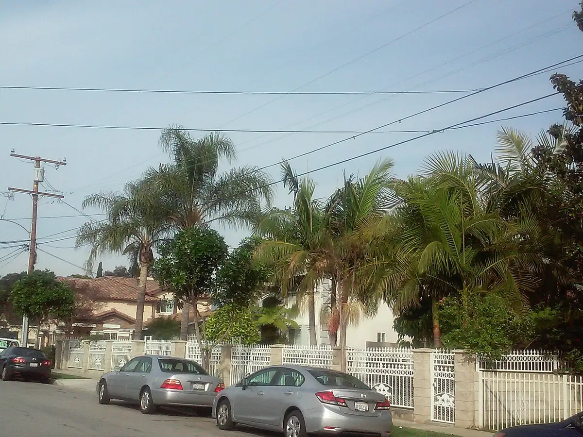 Palm trees and two-story homes behind white fences on a residential street in Rosemead